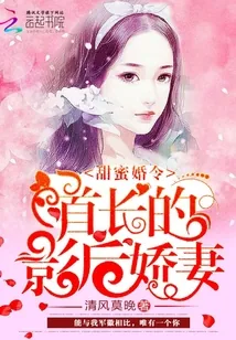 《不负荣光,不负你》小说封面