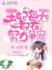 《王妃每天都在努力争宠》小说封面