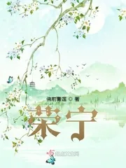 《荣宁》小说封面
