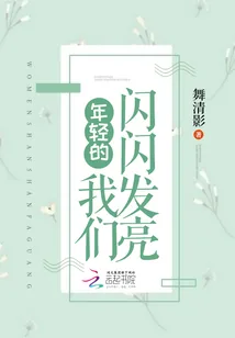 《年轻的我们闪闪发亮》小说封面