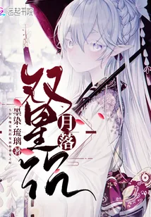 《月落双星沉》小说封面