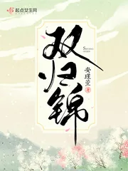 《双归锦》小说封面