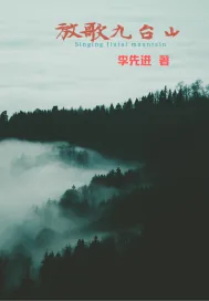 《放歌九台山》小说封面