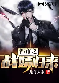 《都市之战婿归来》小说封面