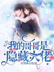 《我的哥哥是隐藏大佬》小说封面