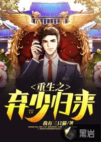 《重生之弃少归来》小说封面