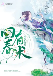 《回春有术》小说封面