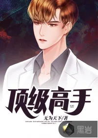 《顶级高手》小说封面