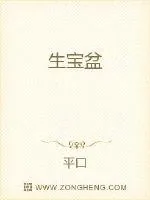 《生宝盆》小说封面
