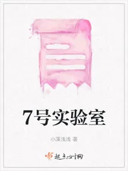 《7号实验室》小说封面