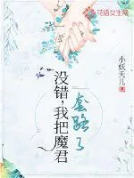 《没错，我把魔君套路了》小说封面