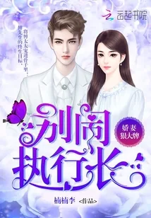 《娇妻狠大牌：别闹，执行长！》小说封面