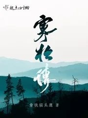 《寒松传》小说封面