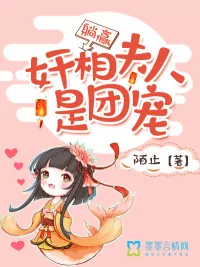 《奸相夫人是团宠，躺赢》小说封面