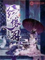 《续缘阁》小说封面