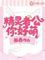 《精灵老公你好萌》小说封面