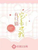 《有只猫它喜欢我》小说封面