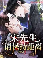 《宋先生，请保持距离》小说封面