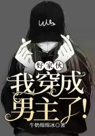 《好家伙,我穿成男主了!》小说封面