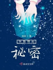 《怀斯特的秘密》小说封面
