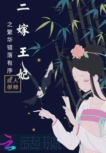 《二嫁王妃之繁华错落有序》小说封面