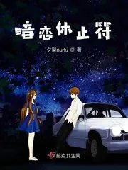 《暗恋休止符》小说封面