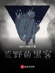 《荒野的黑客》小说封面