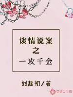 《谈情说案之一玫千金》小说封面
