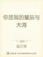 《你是我的星辰与大海》小说封面
