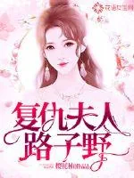 《复仇夫人路子野》小说封面