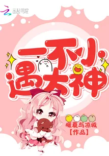 《一不小心遇大神》小说封面