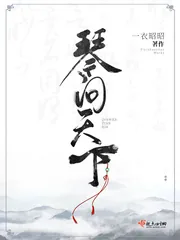 《琴问天下》小说封面
