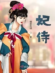 《妃侍》小说封面