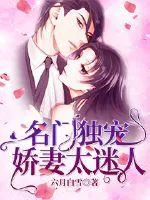 《和安少的高甜新婚日记》小说封面