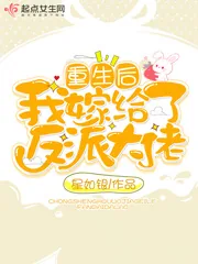 《重生后我嫁给了反派大佬》小说封面