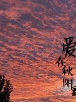 《爱在秋阳里》小说封面