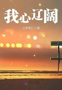 《我心辽阔》小说封面