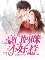 《豪门妈咪不好惹》小说封面