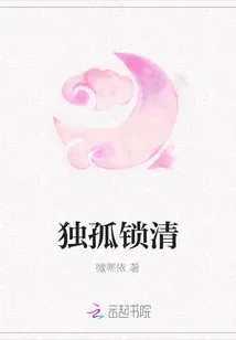 《独孤锁清》小说封面