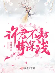 《许君不知情深浅》小说封面