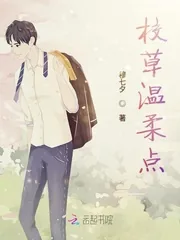 《校草温柔点》小说封面