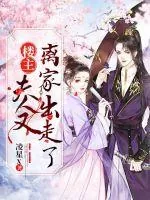 《楼主,夫人又离家出走了》小说封面