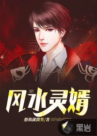 《风水灵婿》小说封面