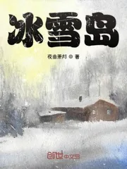 《冰雪岛》小说封面