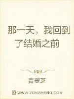 《那一天,我回到了结婚之前》小说封面