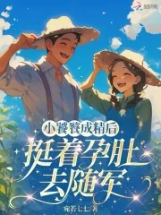《小饕餮成精后，挺着孕肚去随军》小说封面