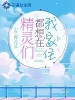 《精灵们都想在我家住》小说封面