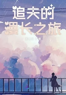《追夫的漫长之旅》小说封面