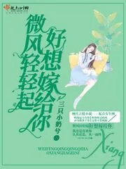 《微风轻轻起好想嫁给你》小说封面