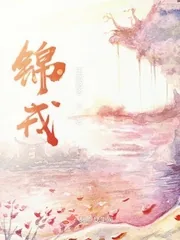《锦戎》小说封面